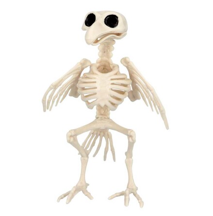 Prop, skelett fågel 20 cm