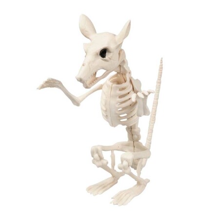 Prop, skelett råtta 18 cm