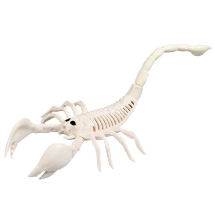 Prop, skelett skorpion 31 cm