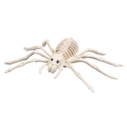 Prop, skelett spindel 23 cm